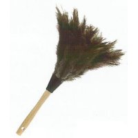 12" Ostrich Feather Duster/D12EC    $8.00